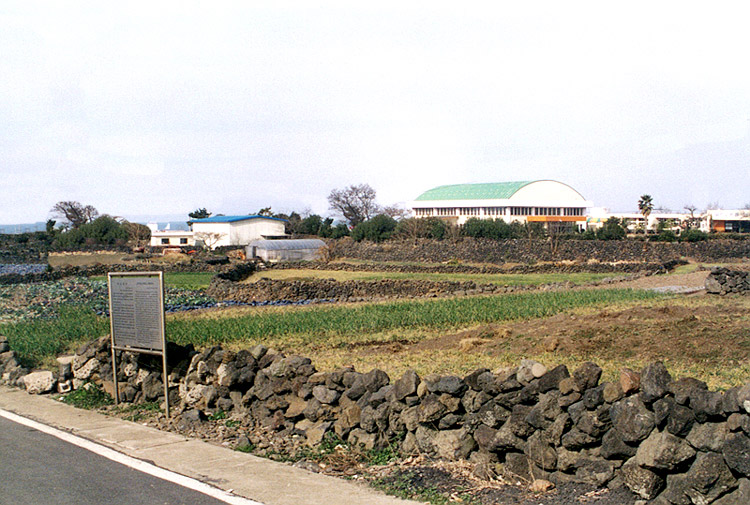 Gwakji Seashell Mound