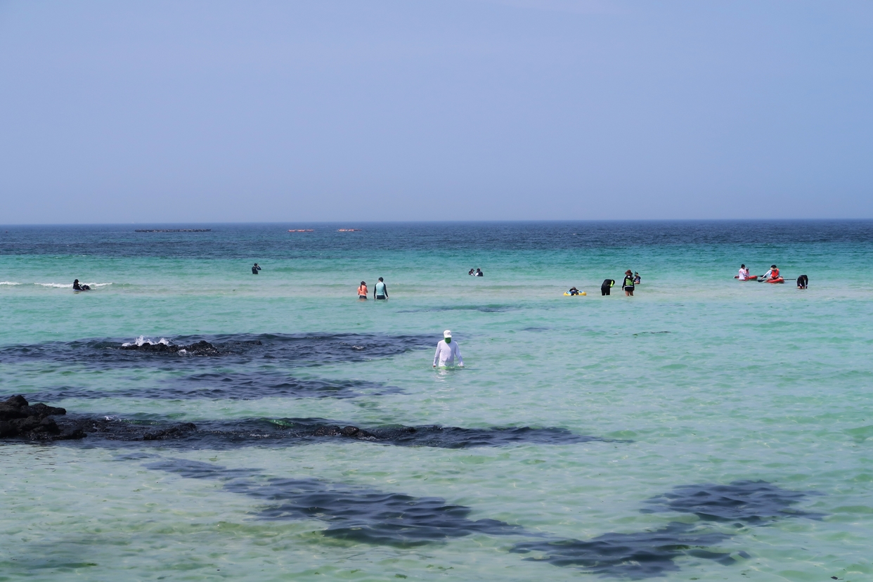 ํจ๋ํด์์์ฅ