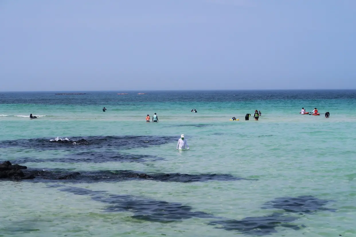 済州島・咸徳海水浴場の実際の海と遊泳エリア