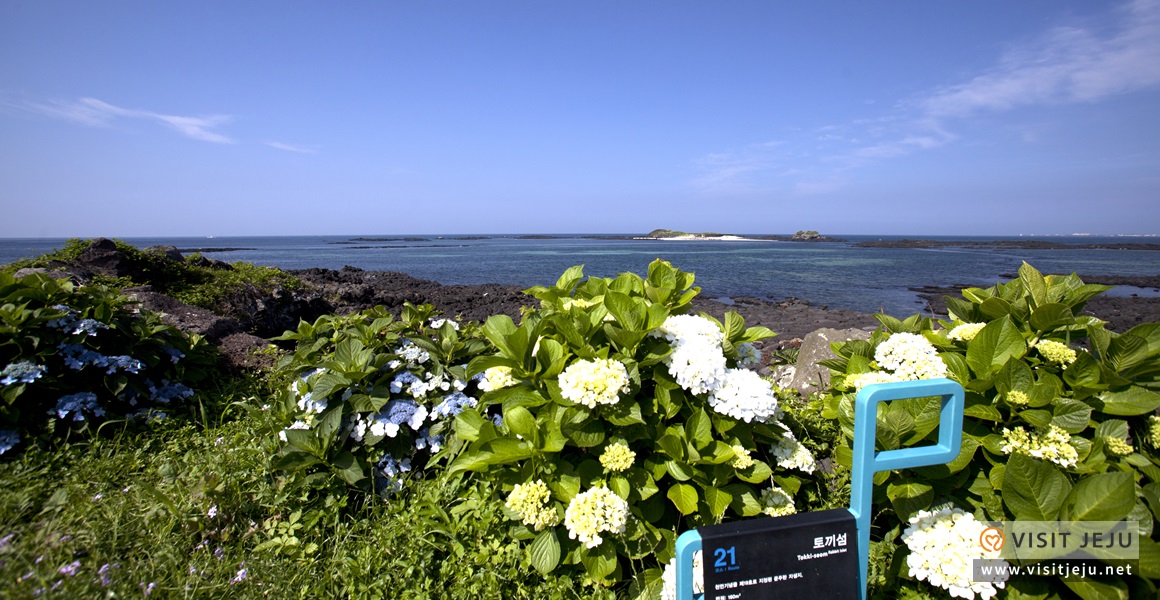 ７月のおすすめ済州観光10選 <夏が来た！済州島だ！熱い夏を楽しもう！>