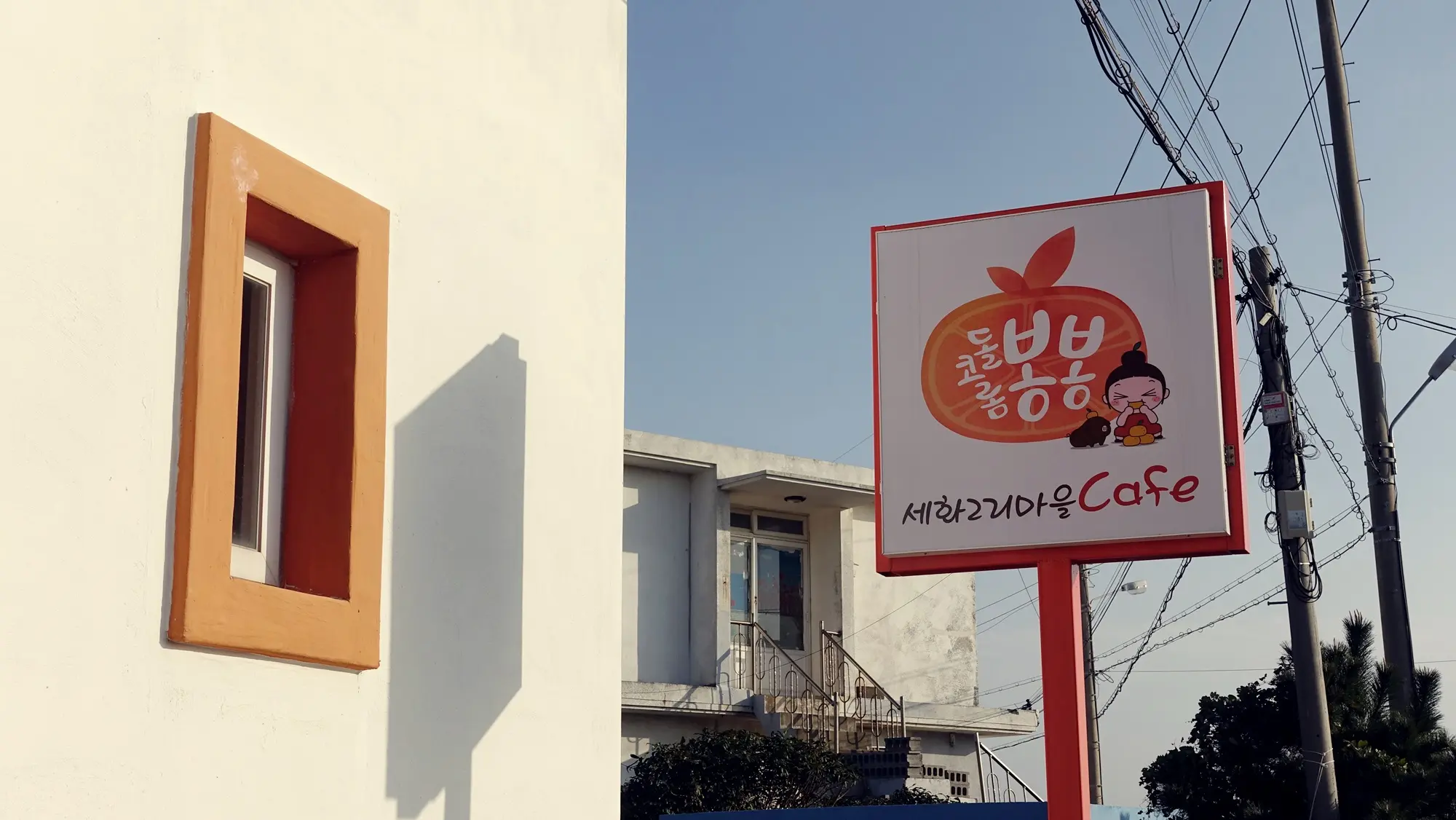 Dolkorom Bongbong (돌코롬봉봉)
