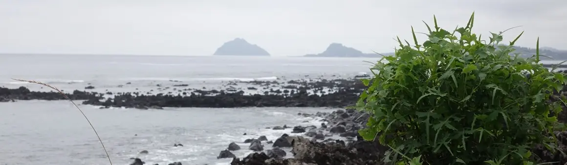 済州島南元のテウッケにあるシュノーケリング向け天然プールと海岸