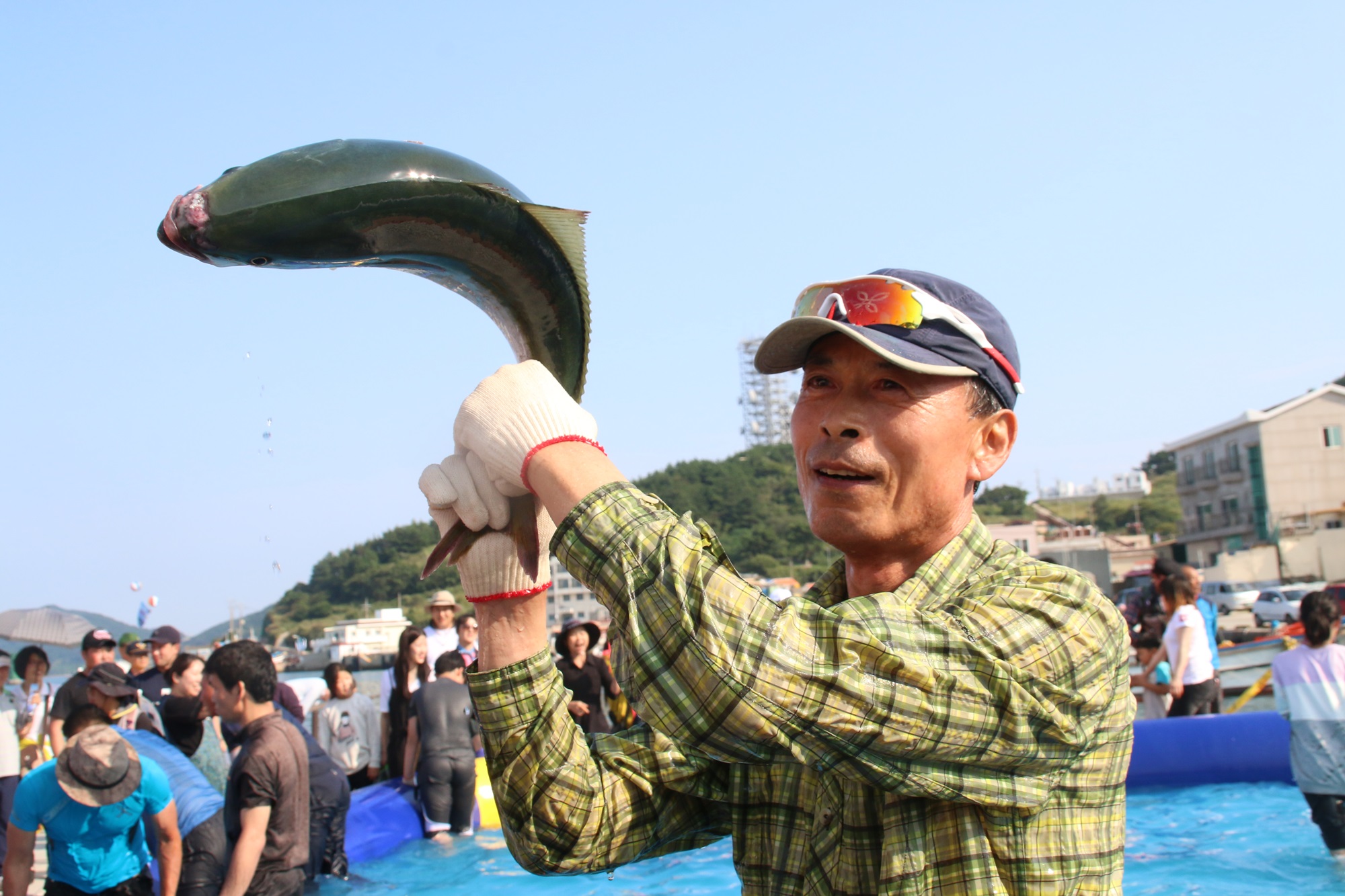 추자도참굴비대축제