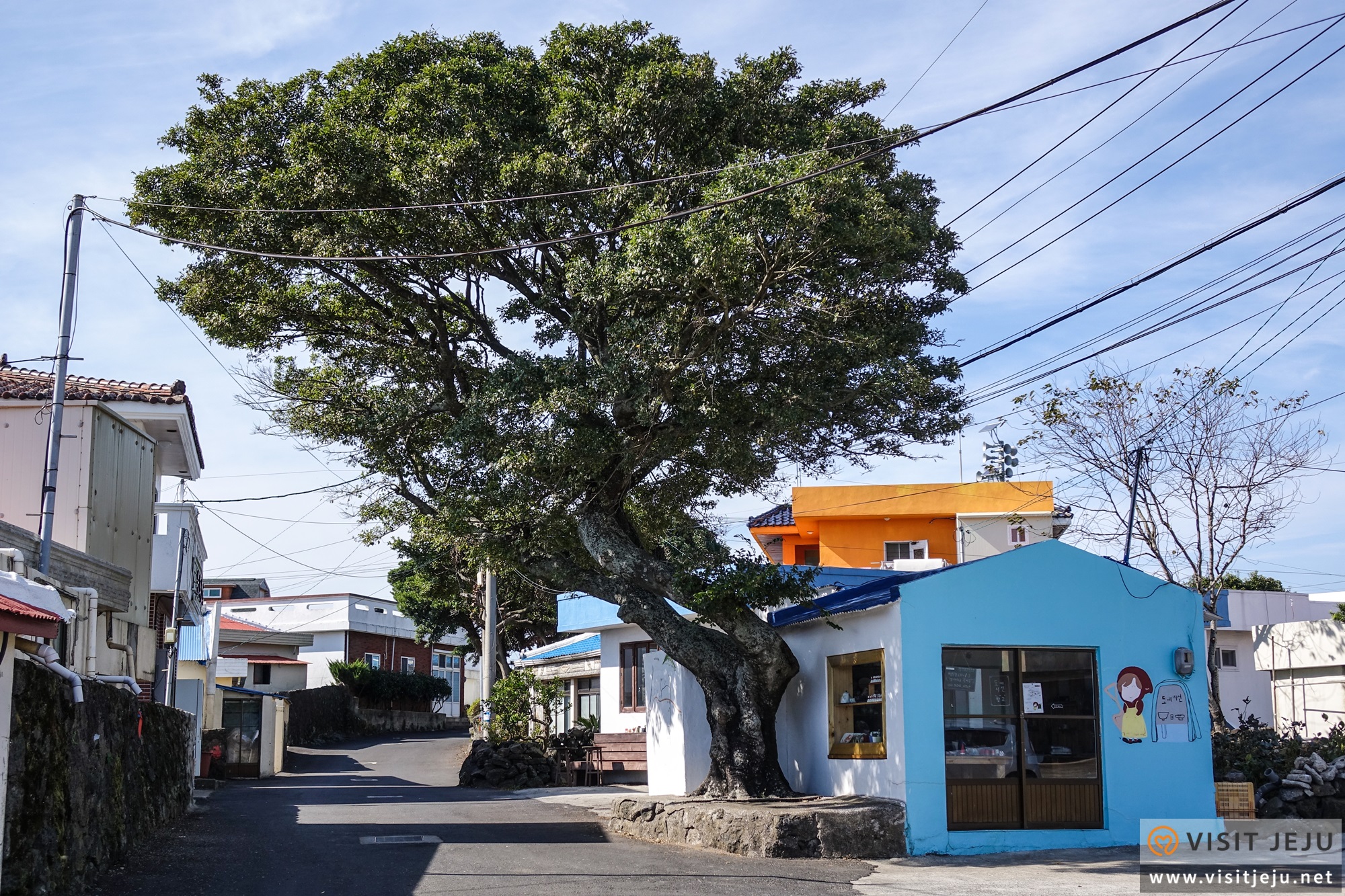 Lots to see everywhere: “Jongdal-ri” <Town at the end of Jeju>