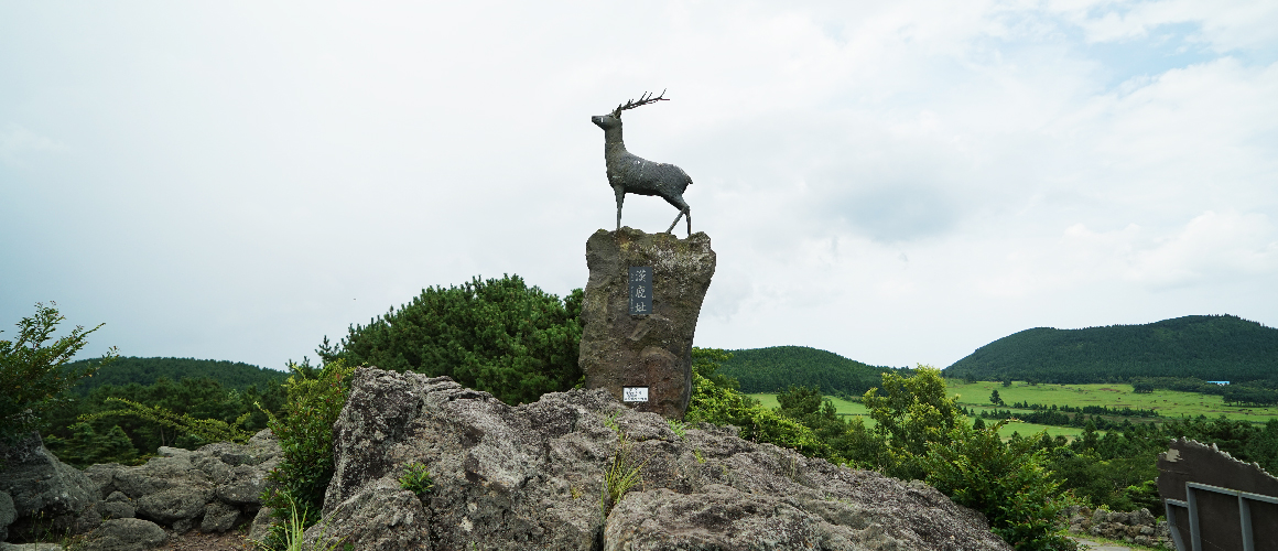 산굼부리 사진이미지 8