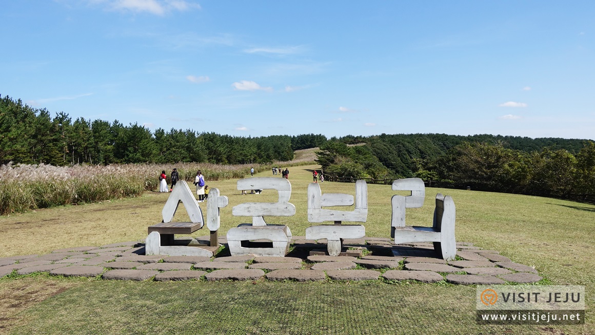 산굼부리 사진이미지 12