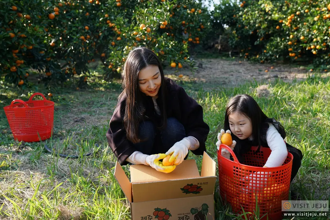 For KID, With KID. 아이와 함께하는 제주도 체험 여행
