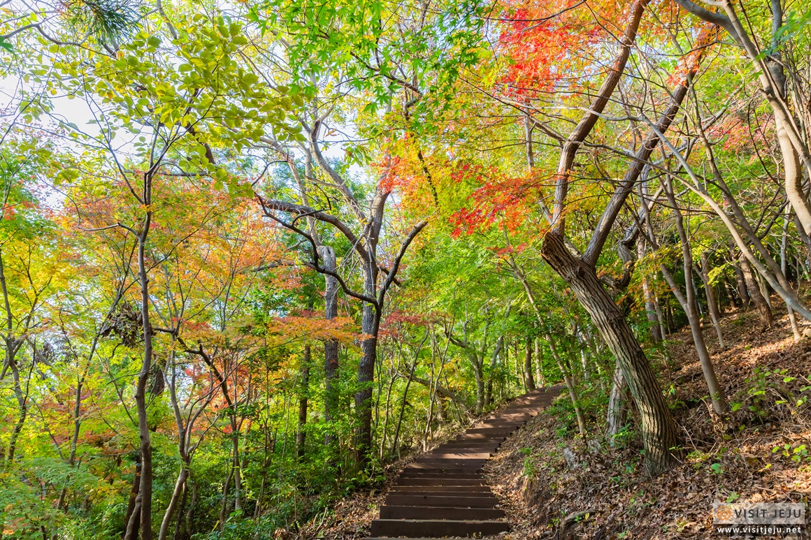 고근산