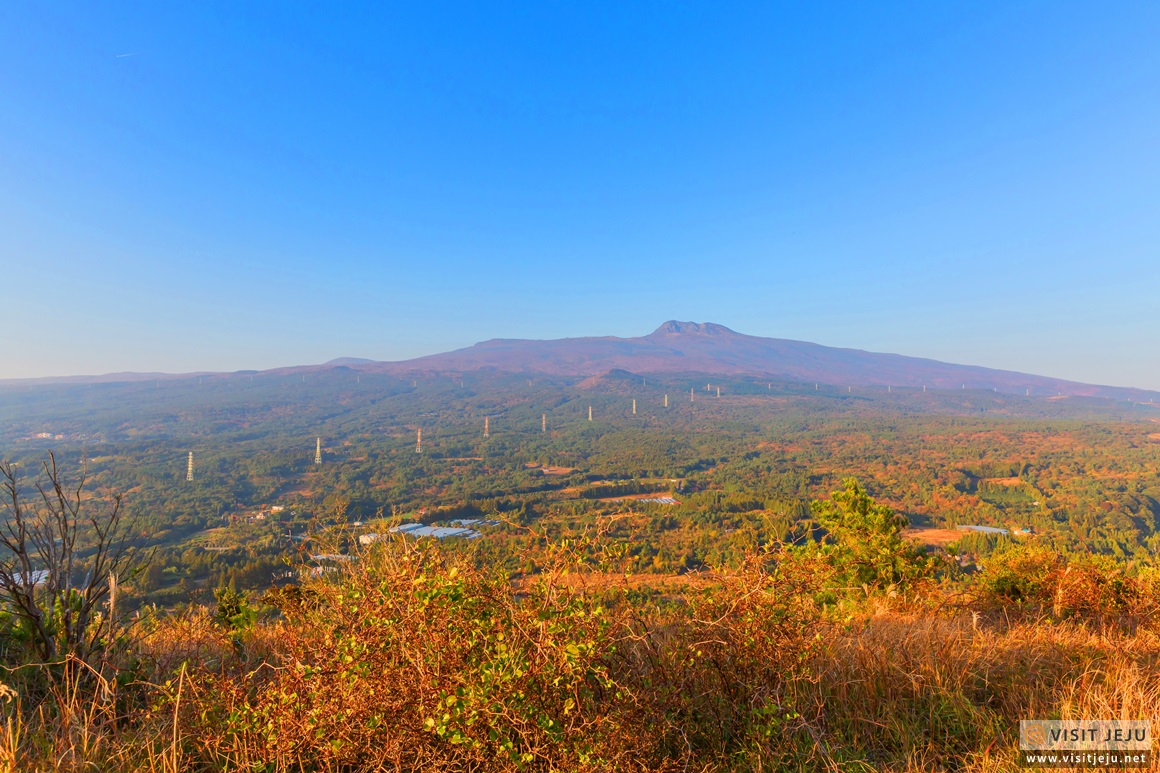 고근산