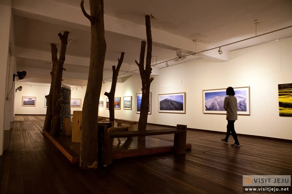 Visit Jeju : Photo Gallery Images of Nature