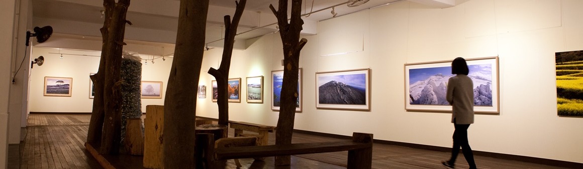 포토갤러리 자연사랑미술관