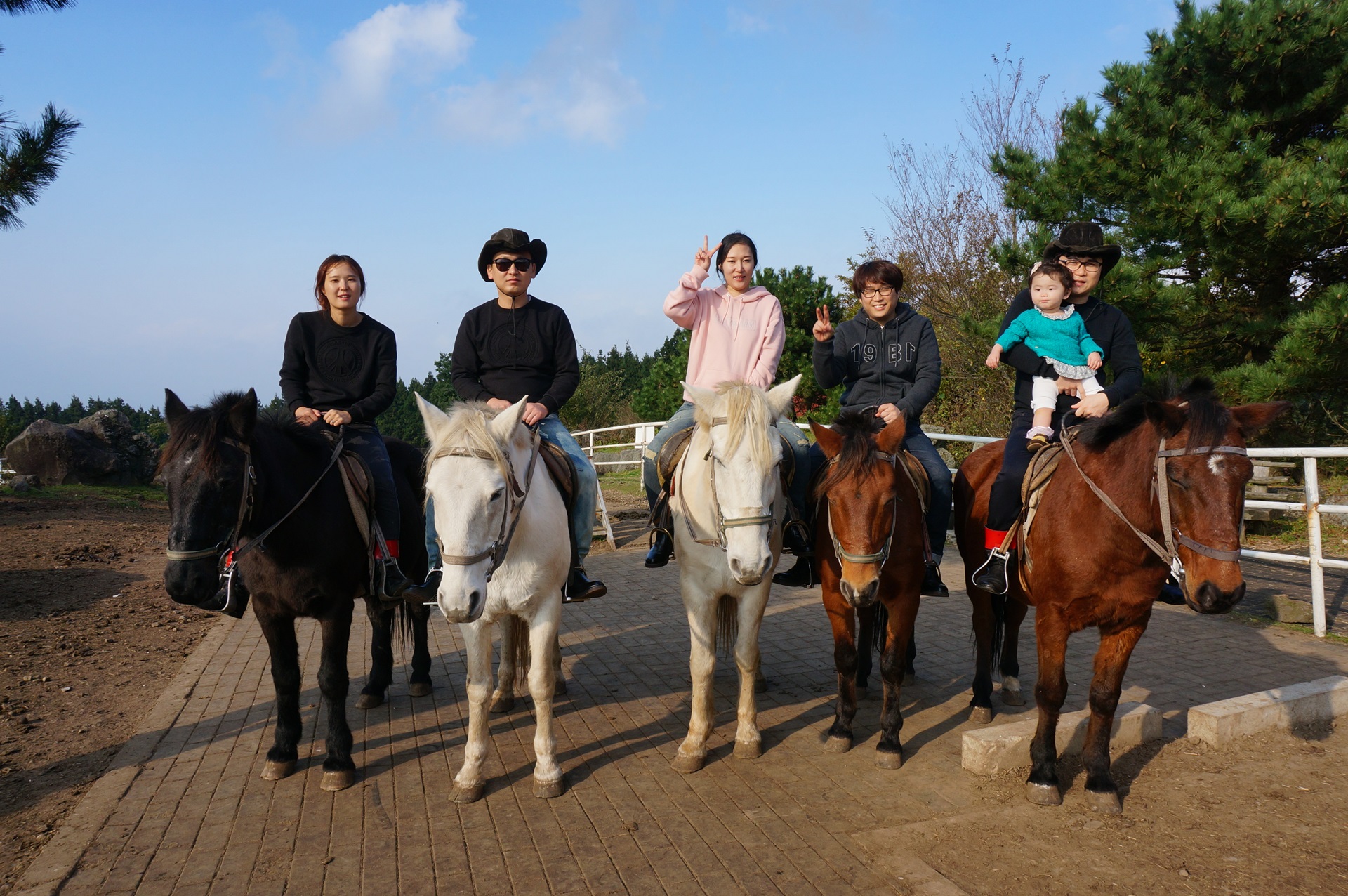 Horse Riding Activities Banner