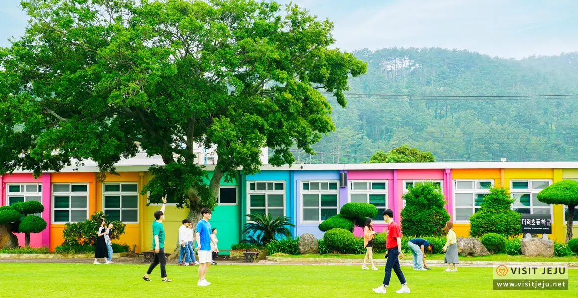 Top 10 Jeju Sites for July <Things to fully enjoy, photograph, ride, and taste in Jeju in July>