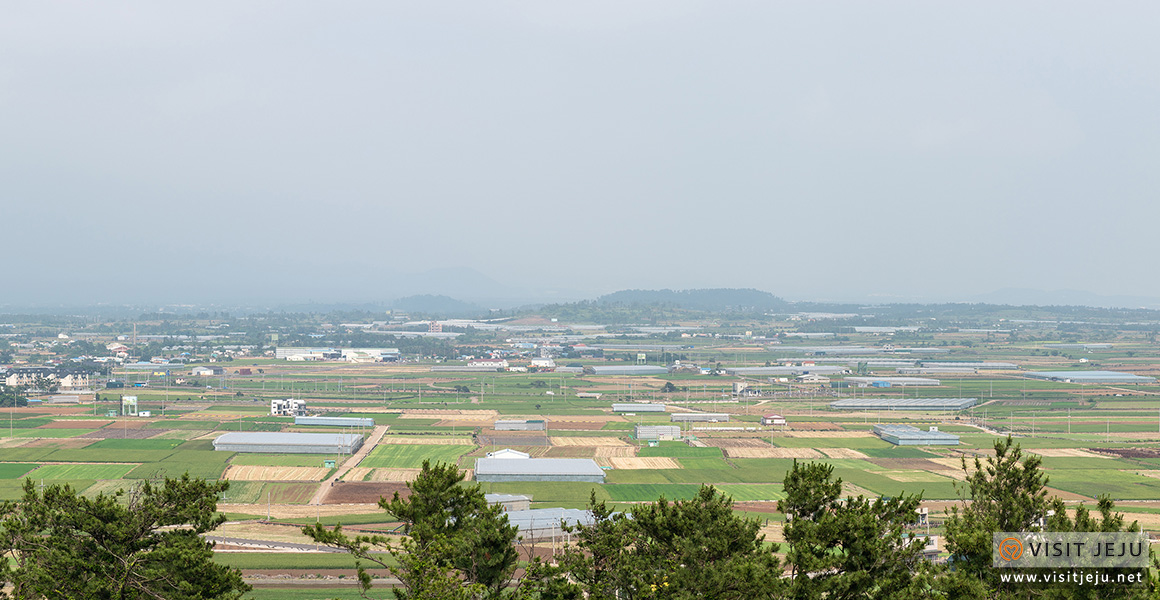 로컬투어마을참견10_ep2