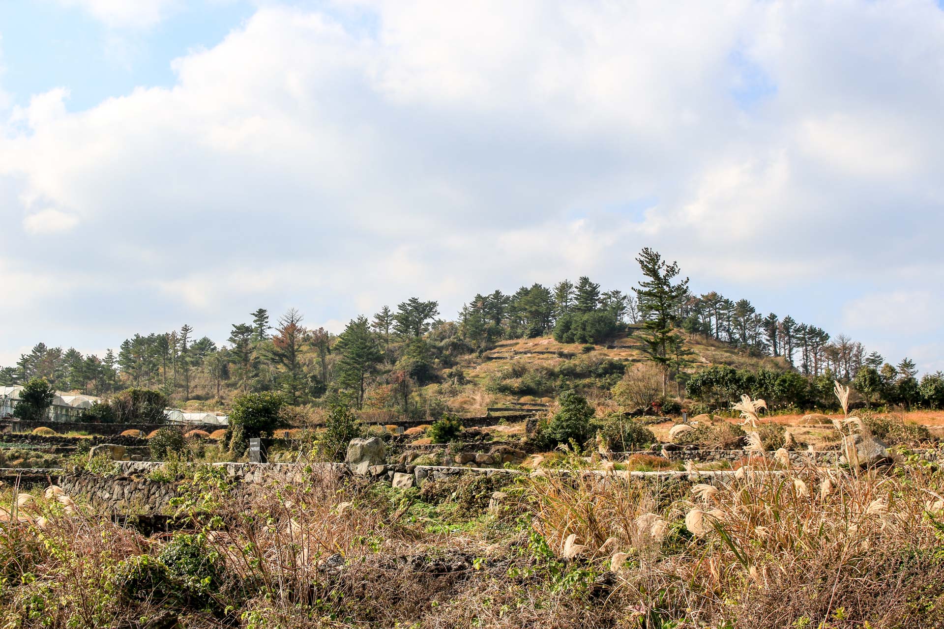 판포오름 (널개오름, 板浦岳)