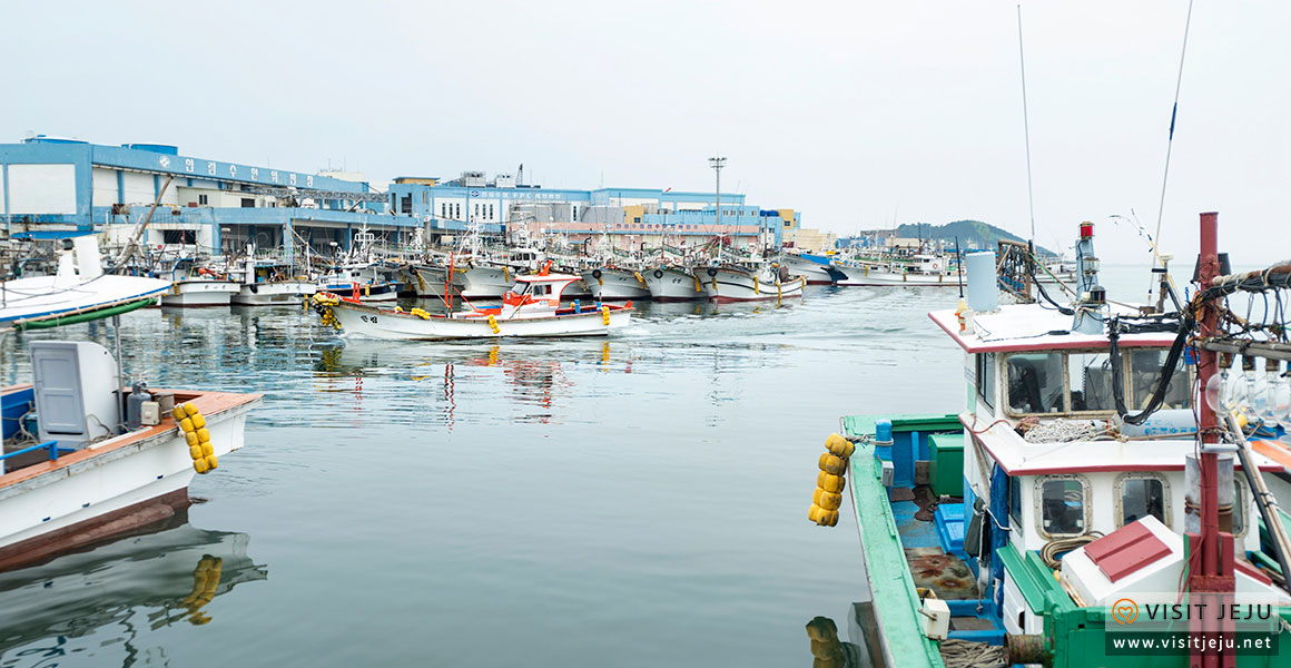 마을참견_한림마을