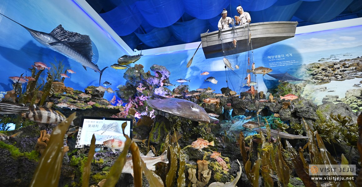 해양동물박물관