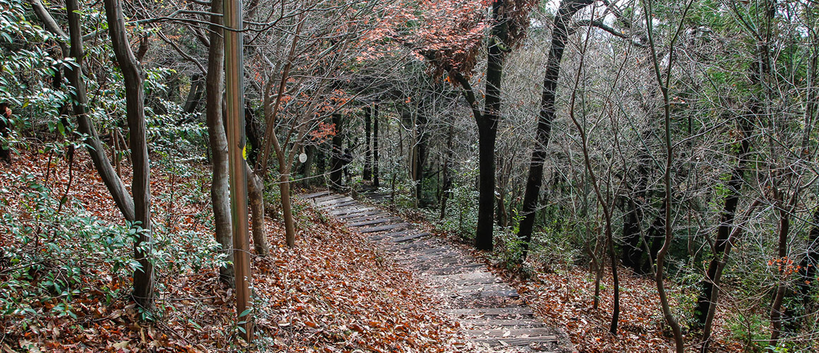 고근산(고공산)