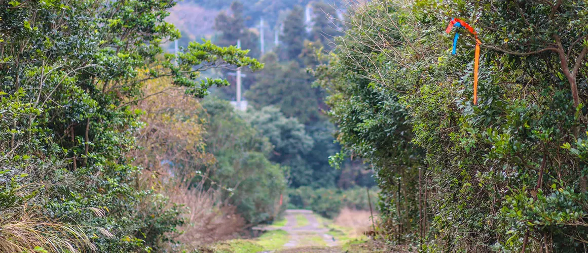 Jeju Olle Course 7-1