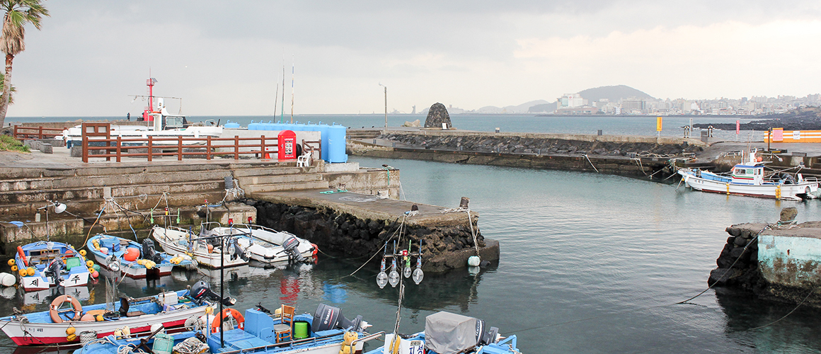 다끄네포구(용담포구) 2019