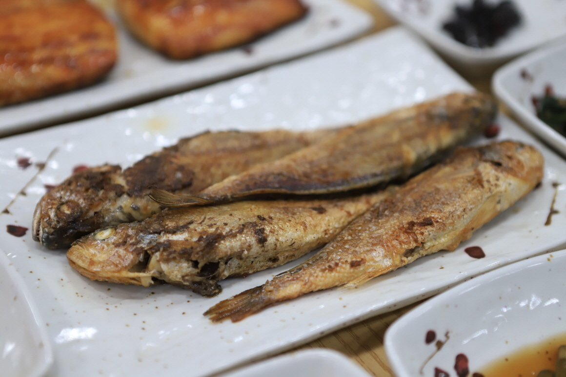 신등대수산회센타