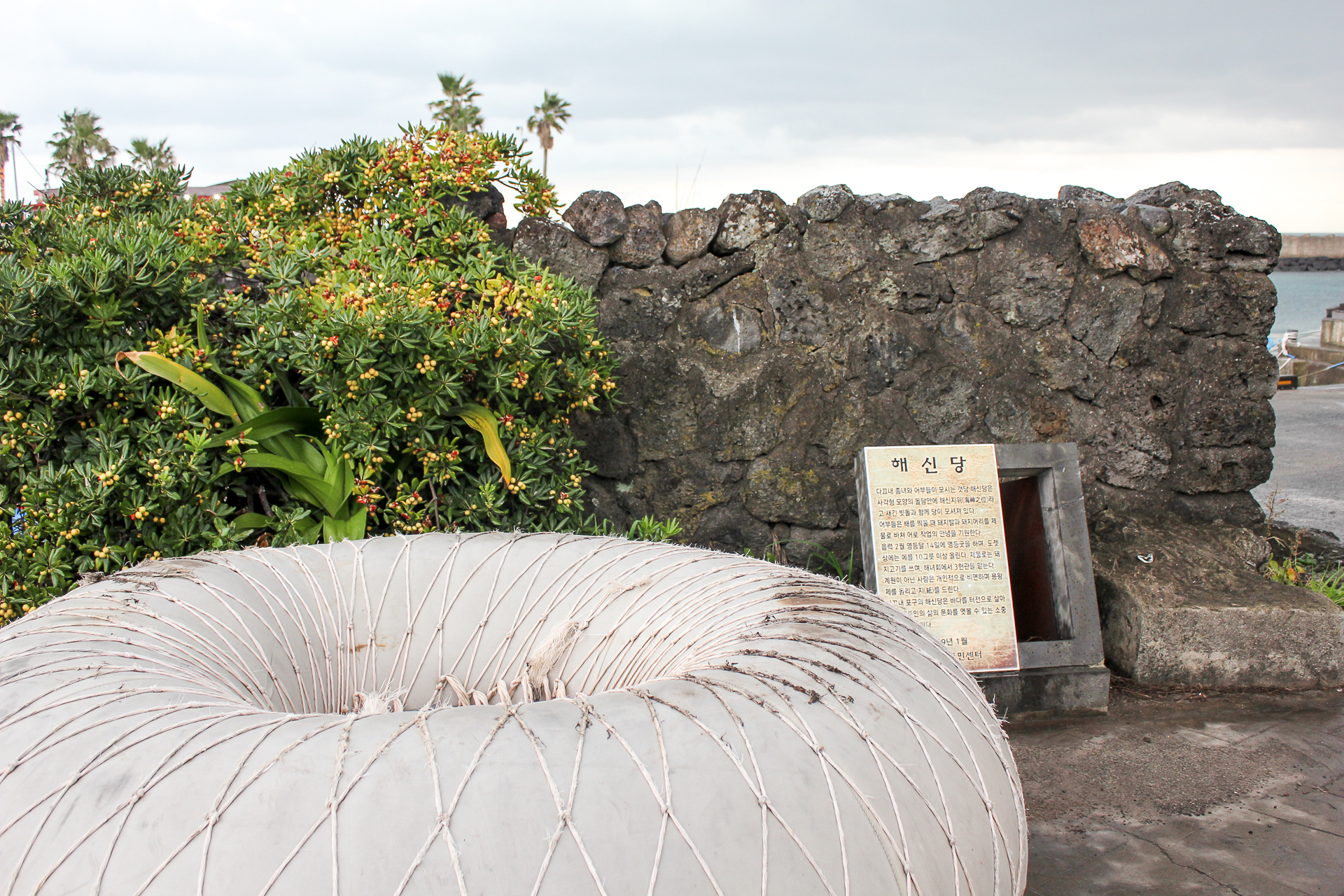 다끄네포구(용담포구) 2019