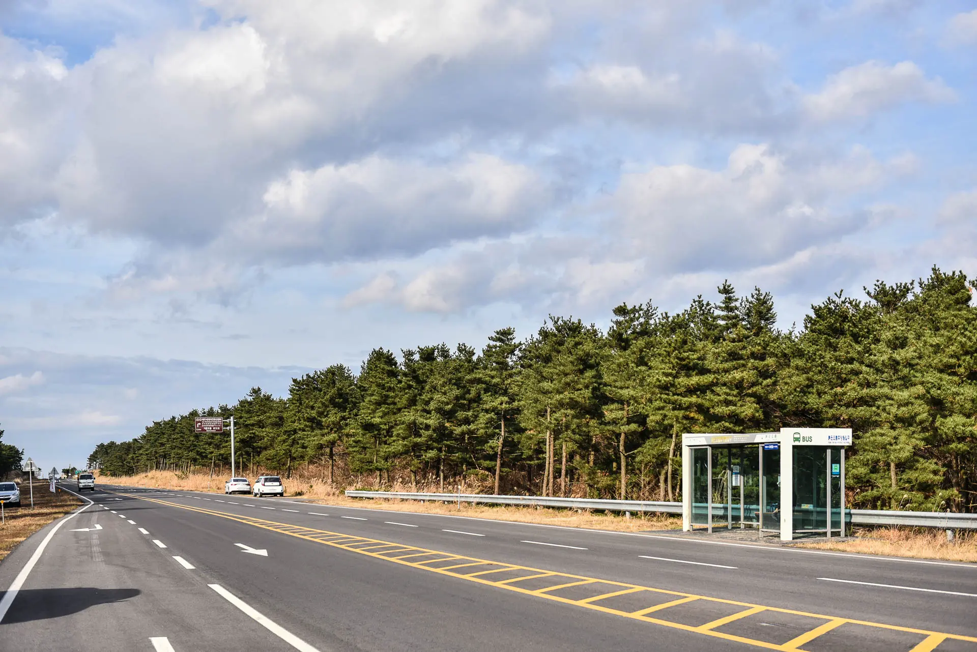 Bulgeun Oreum Natural Recreation Forest 
