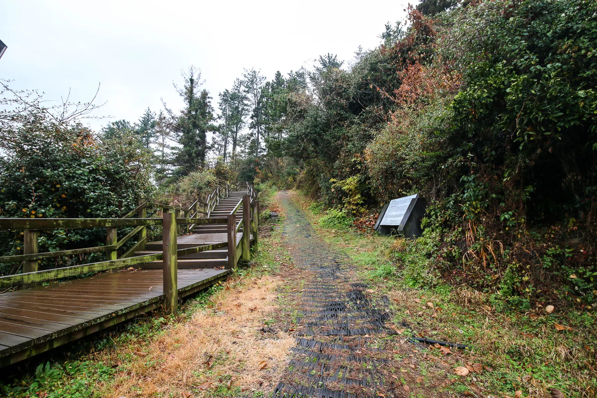 가마오름 진지동굴