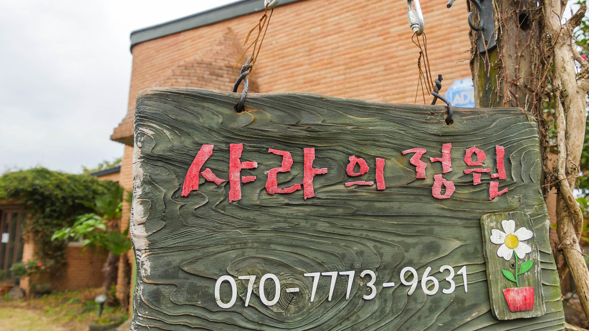 샤라의정원 2019