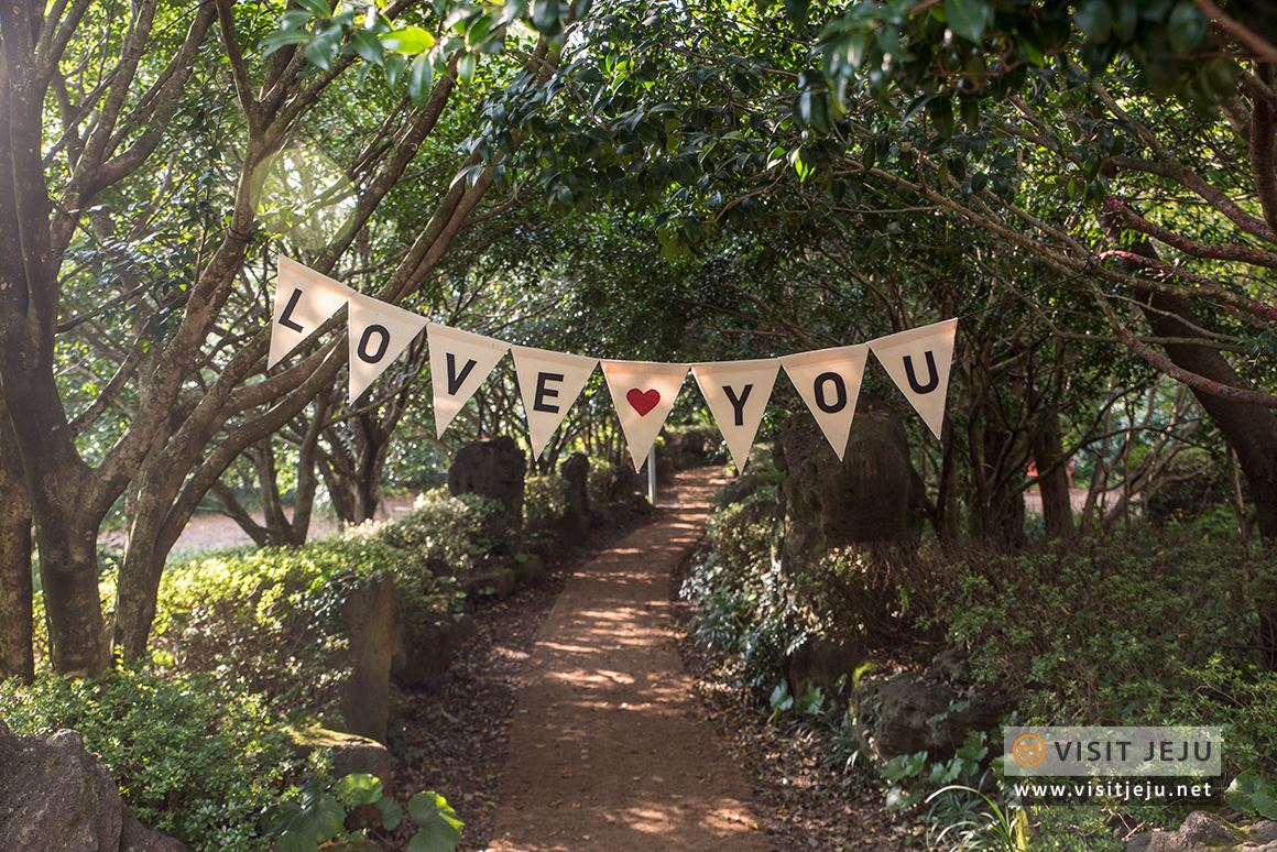 처음이라 더욱 특별하다! 제주로 떠나는 태교 & 아이와 함께하는 여행 