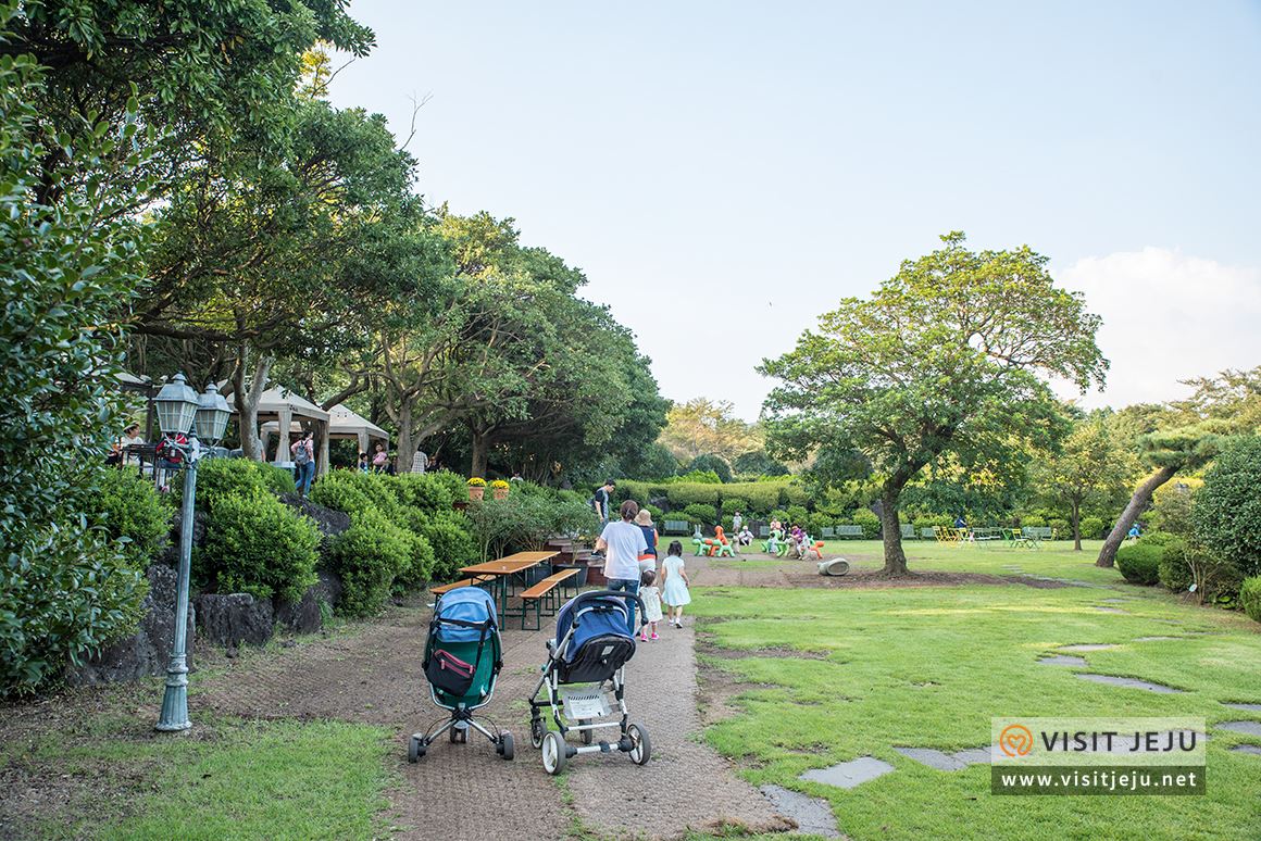 처음이라 더욱 특별하다! 제주로 떠나는 태교 & 아이와 함께하는 여행 