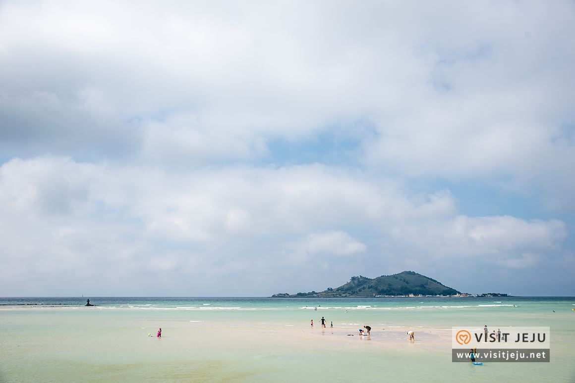 처음이라 더욱 특별하다! 제주로 떠나는 태교 & 아이와 함께하는 여행 