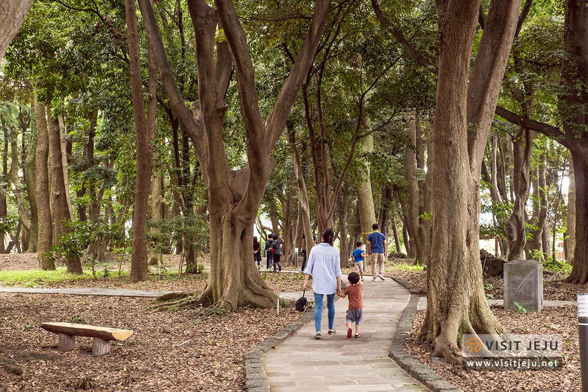 처음이라 더욱 특별하다! 제주로 떠나는 태교 & 아이와 함께하는 여행 
