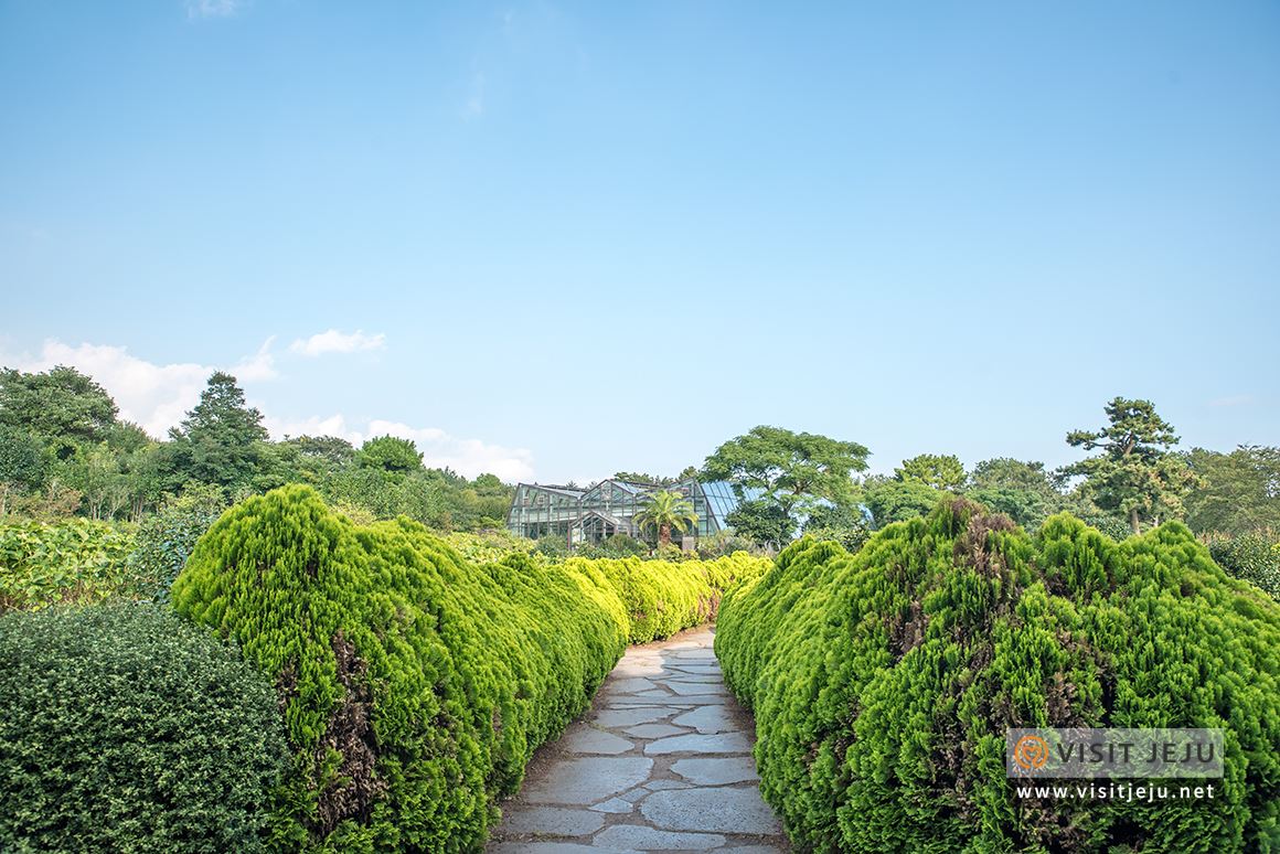 처음이라 더욱 특별하다! 제주로 떠나는 태교 & 아이와 함께하는 여행 