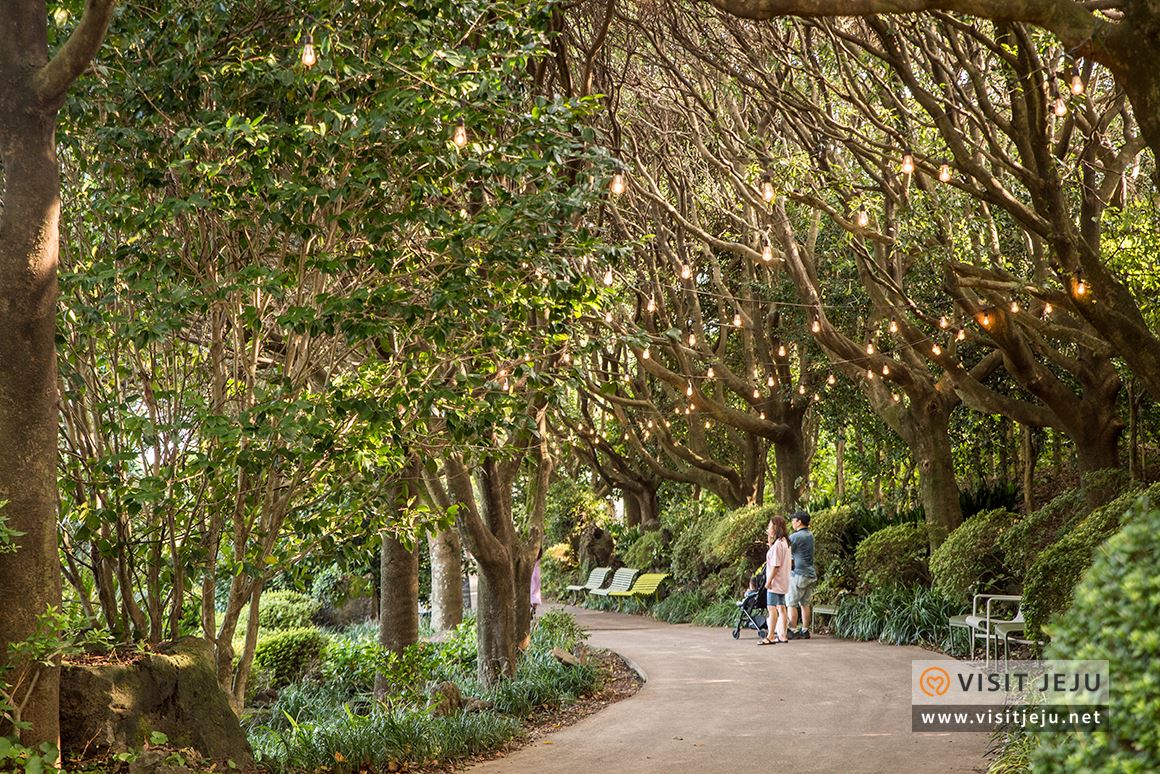 처음이라 더욱 특별하다! 제주로 떠나는 태교 & 아이와 함께하는 여행 