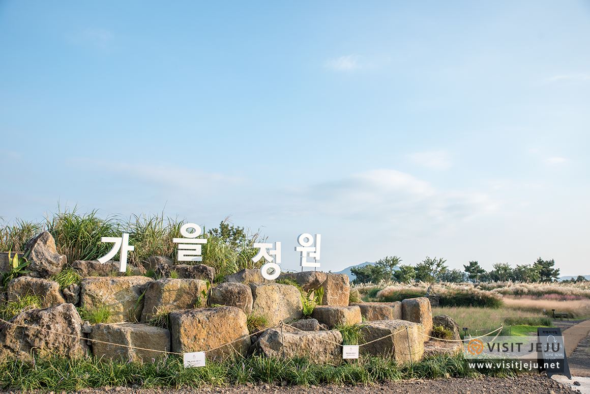 처음이라 더욱 특별하다! 제주로 떠나는 태교 & 아이와 함께하는 여행 