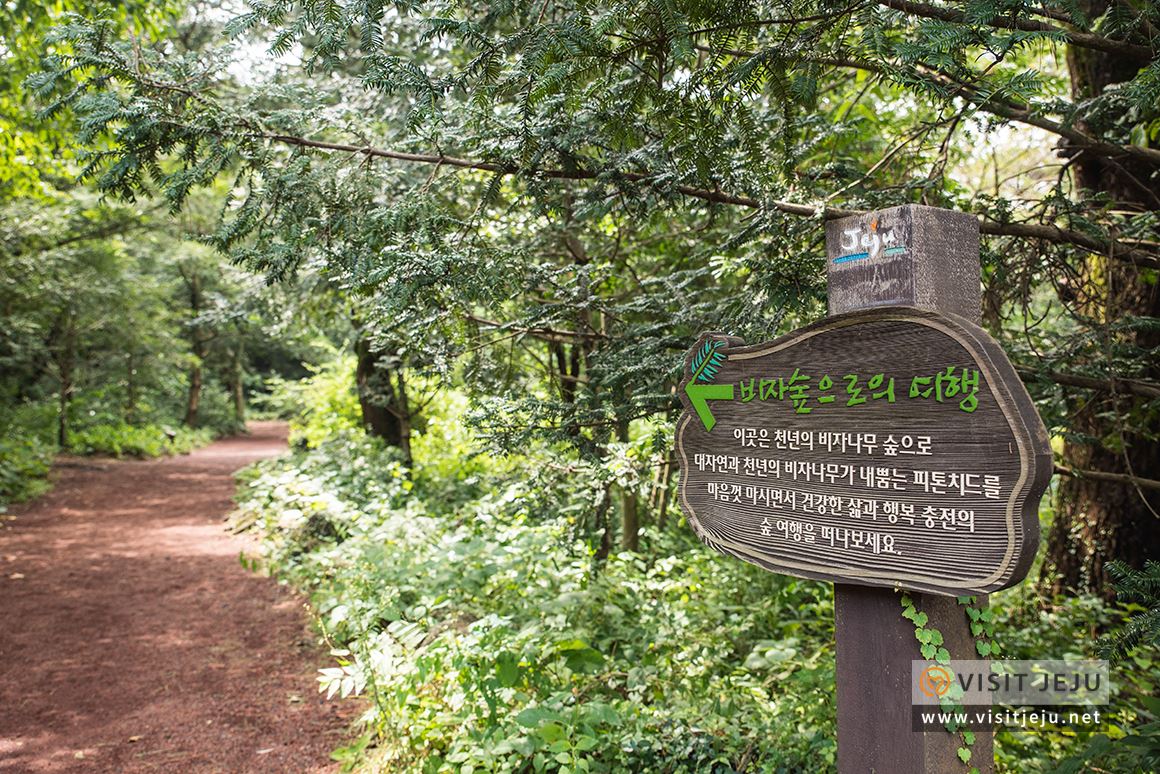 처음이라 더욱 특별하다! 제주로 떠나는 태교 & 아이와 함께하는 여행 