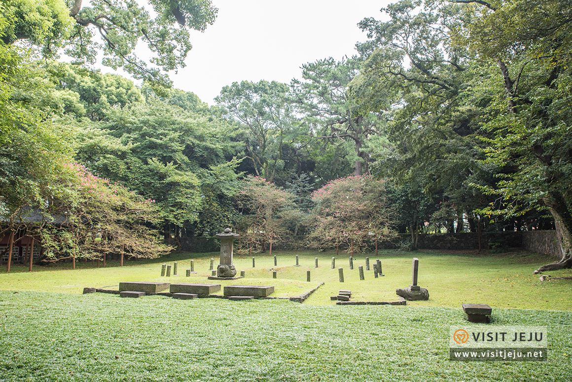 처음이라 더욱 특별하다! 제주로 떠나는 태교 & 아이와 함께하는 여행 