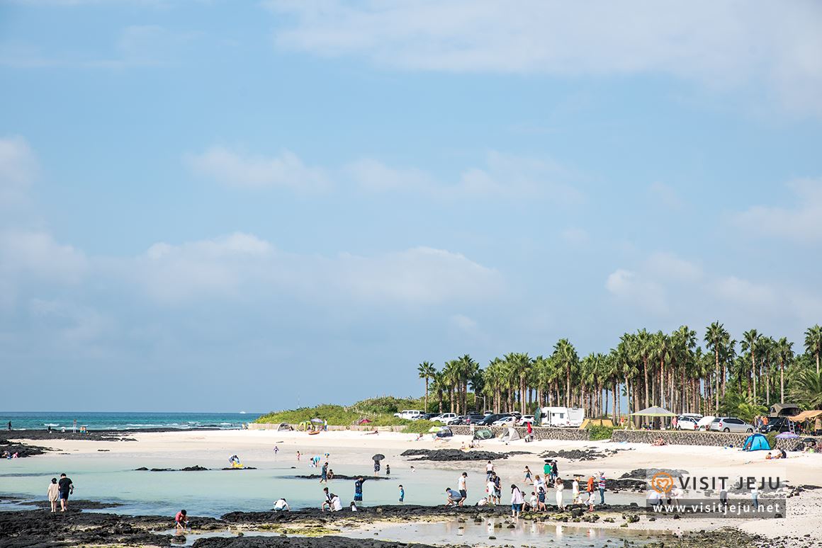 처음이라 더욱 특별하다! 제주로 떠나는 태교 & 아이와 함께하는 여행 