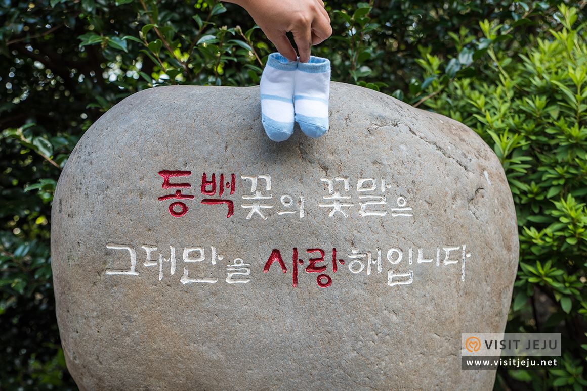 처음이라 더욱 특별하다! 제주로 떠나는 태교 & 아이와 함께하는 여행 