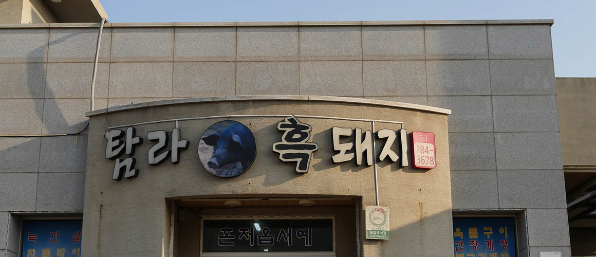 탐라흑돼지 2019
