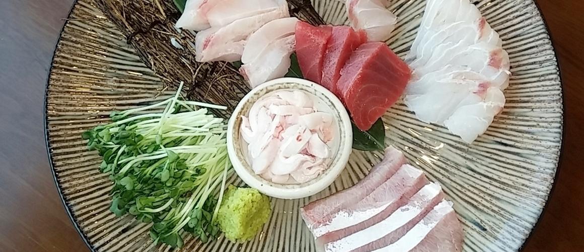 스시우다 2019