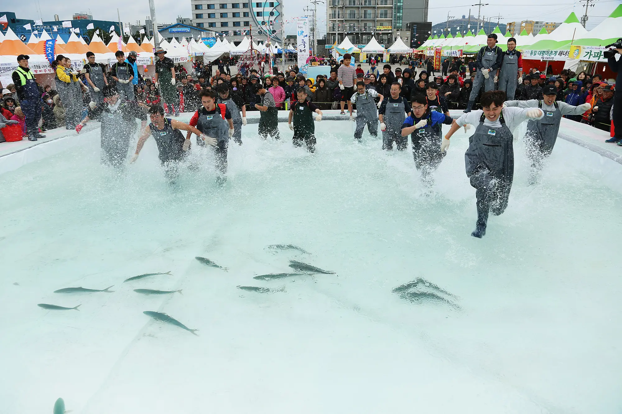 2019년 11월 놓치지 말아야 할 제주 관광 10선 <깊어진 계절 짙어진 감동,11월 제주는 코삿하다>