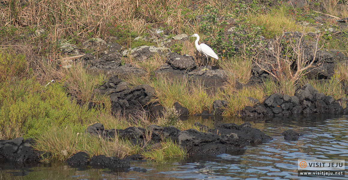 마을참견_오조리