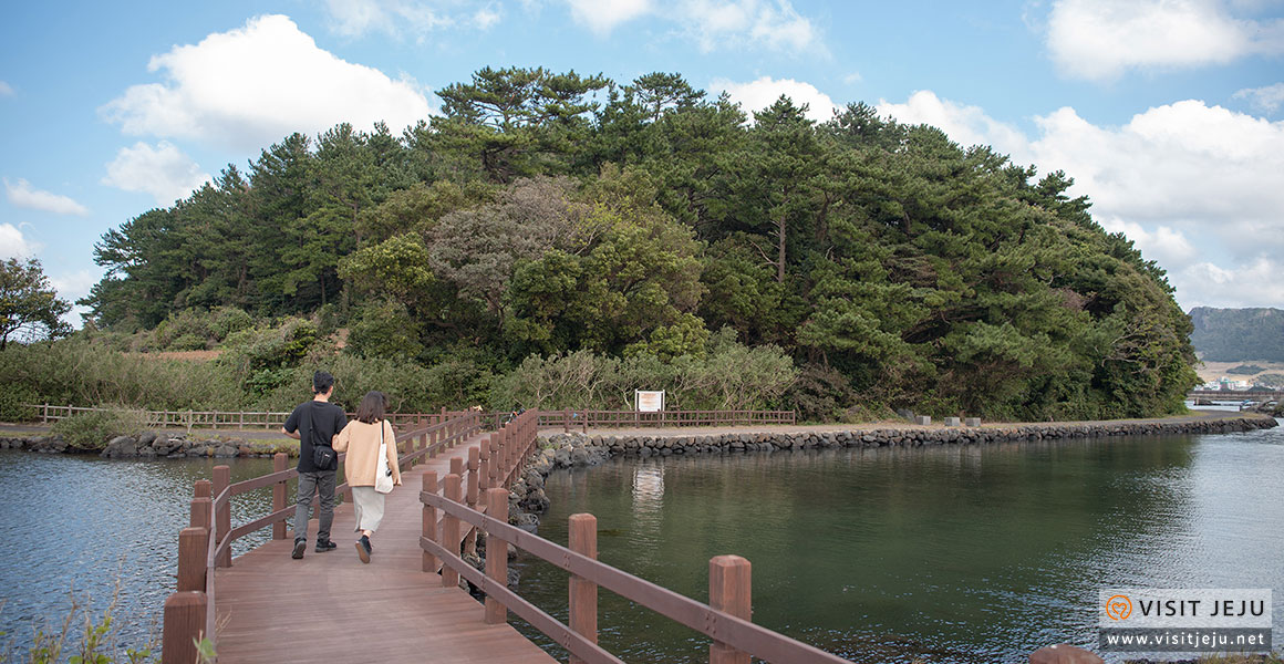 마을참견_오조리