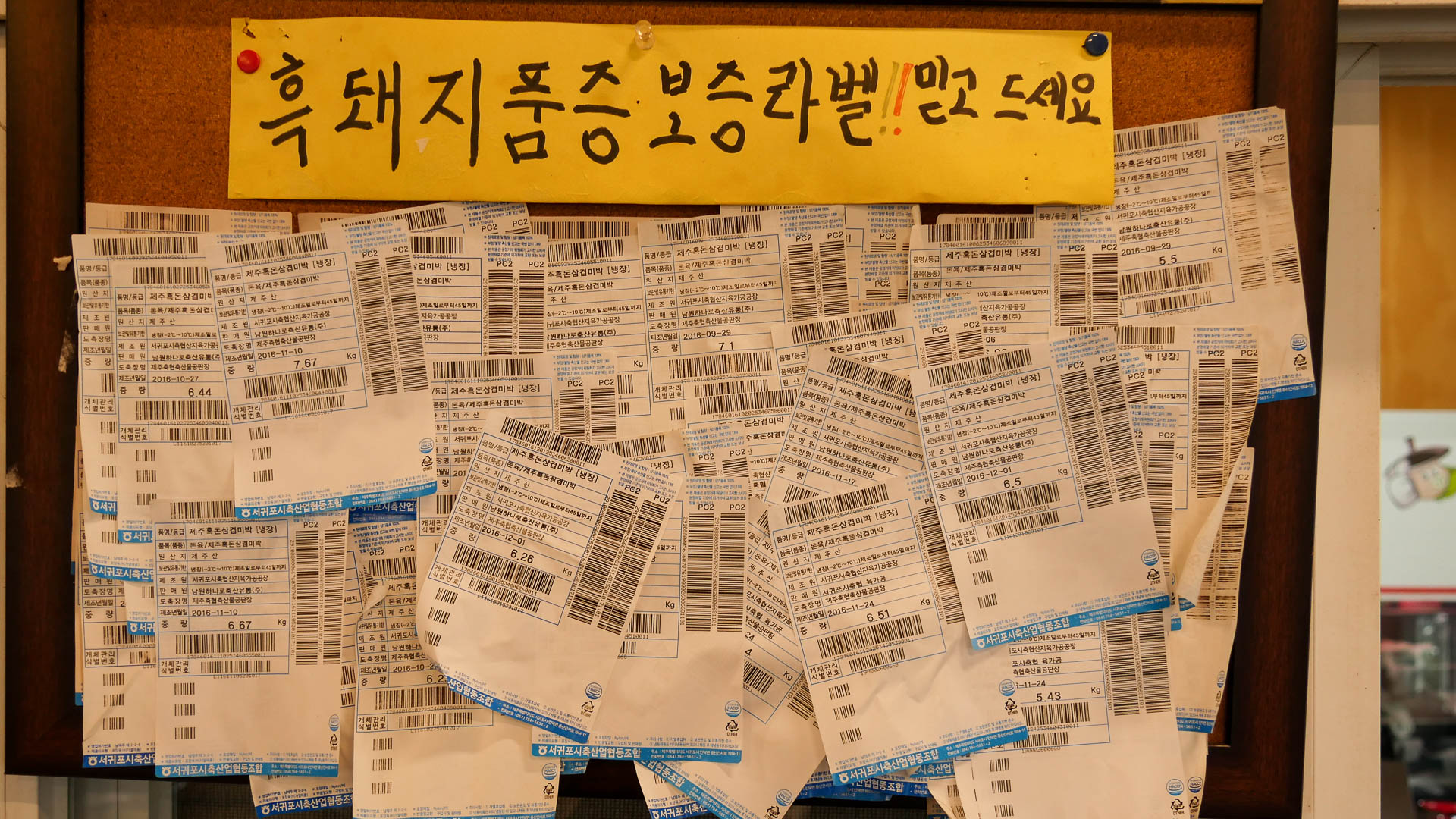 중문솥뚜껑 2019