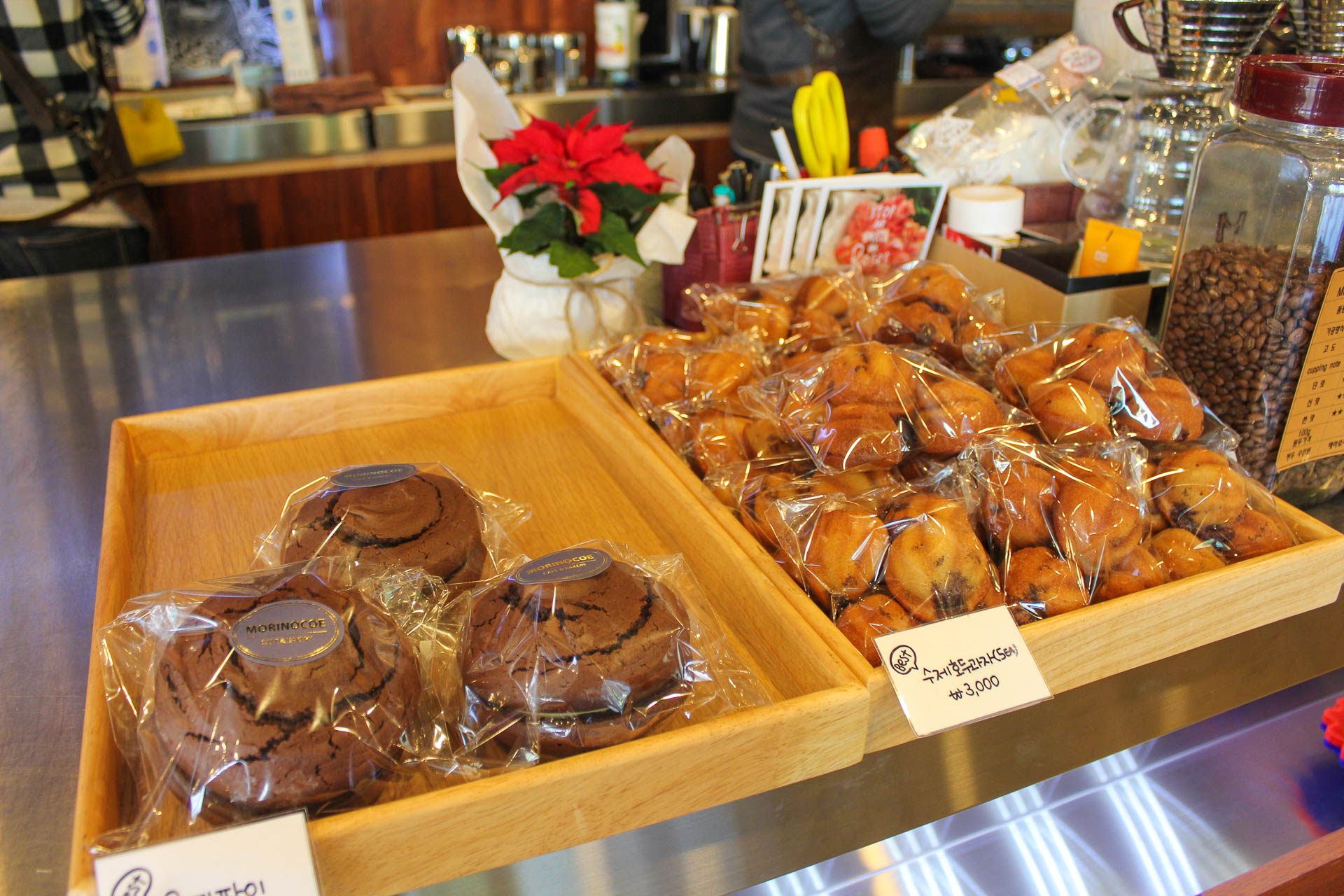 모리노코에 2019