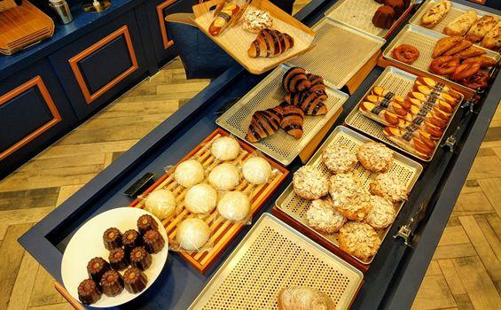 봉주르마담 2019