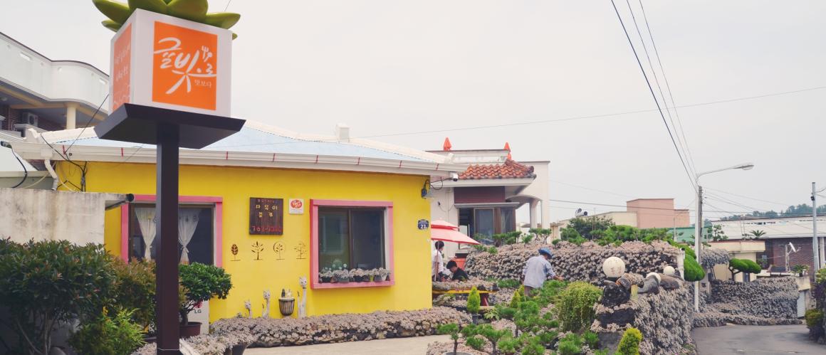 다육이풍경 2019