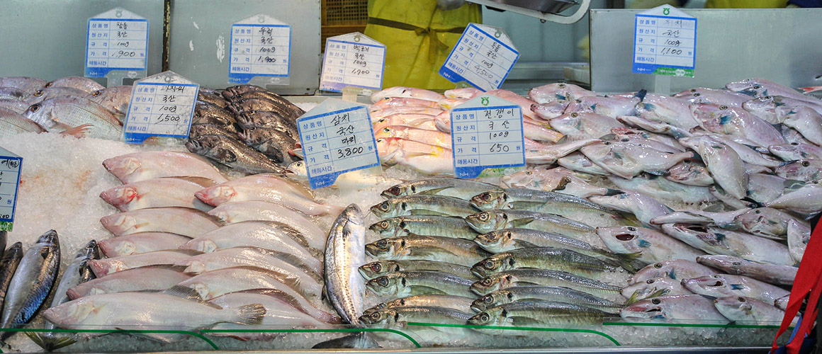 제주시농협농산물직거래센터 2019